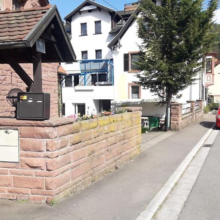 Grosse Wohnung Im Odenwald 1 Шенау Екстер'єр фото